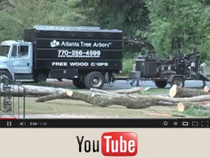Tree removal by Atlanta Tree Arbors